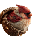 Cardinal