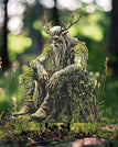 Forest Elf
